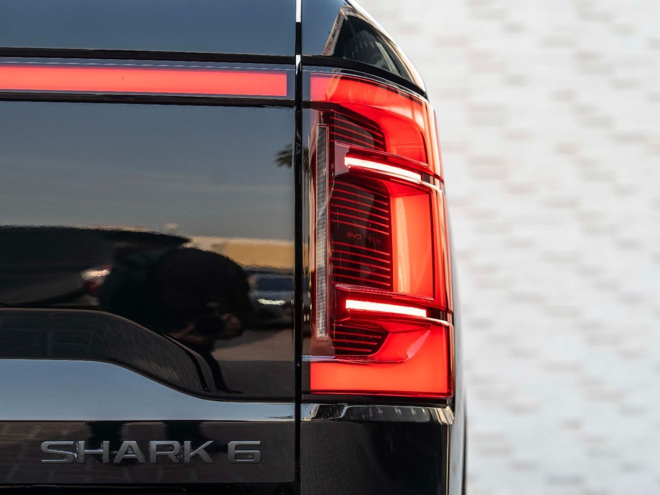 بي واي دي شارك 6