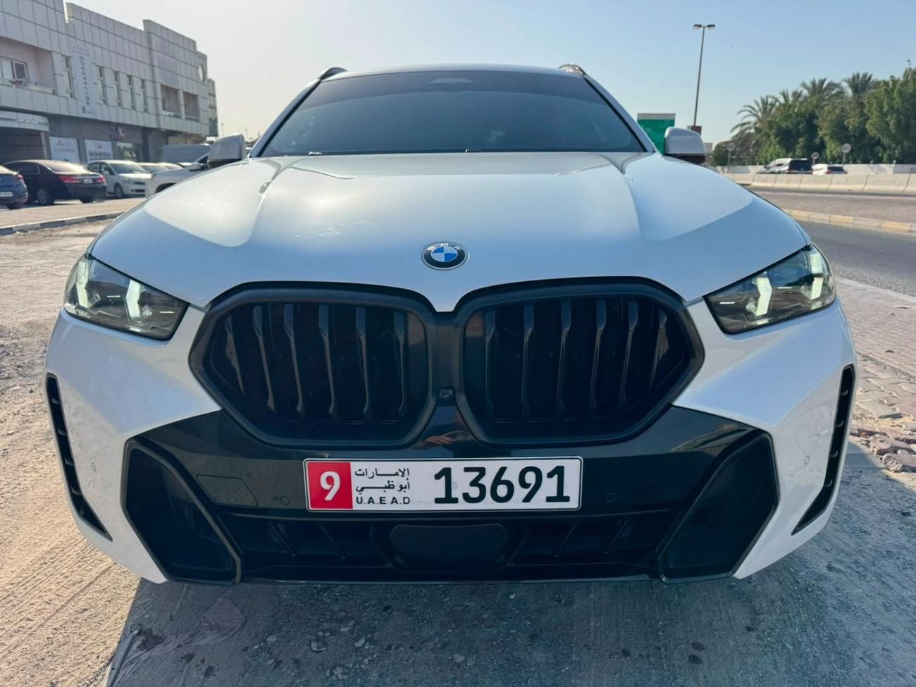 BMW X6 XDRIVE40I M SPORT