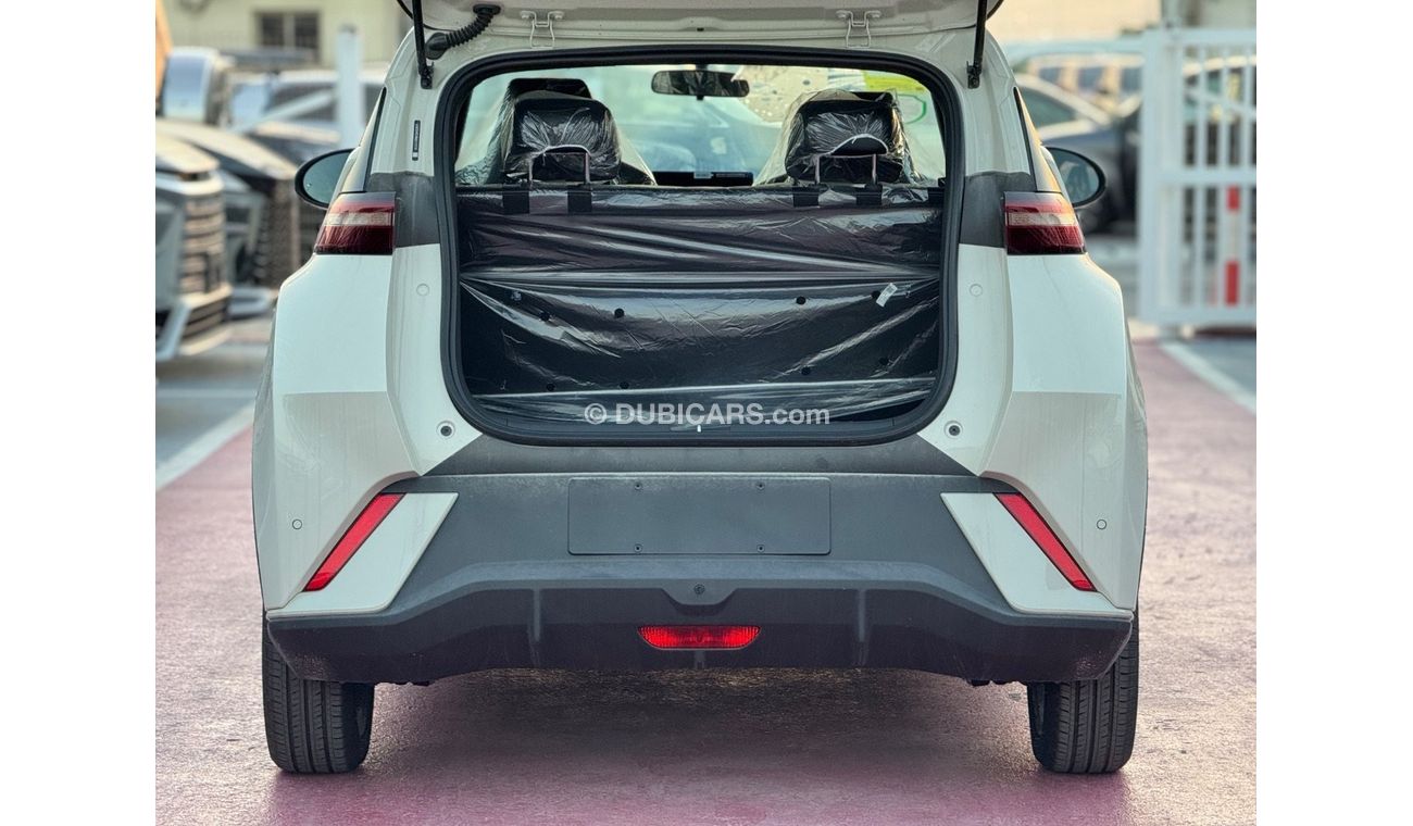 New 2024 BYD SEAGULL FLYING HATCHBACK HI A/T ELECTRIC CAR 410 KM 2024