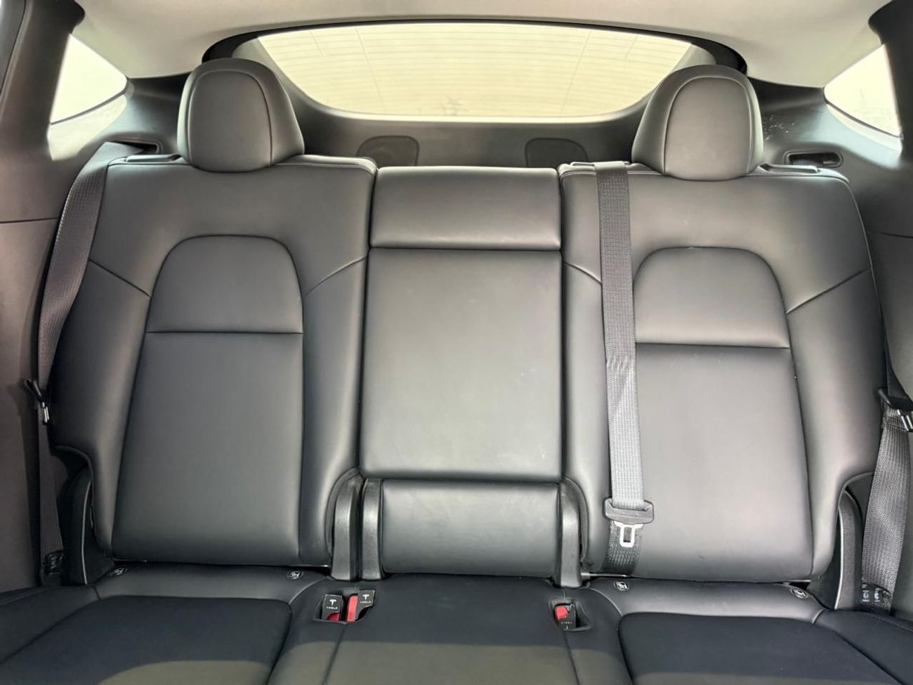 تسلا موديل Y -