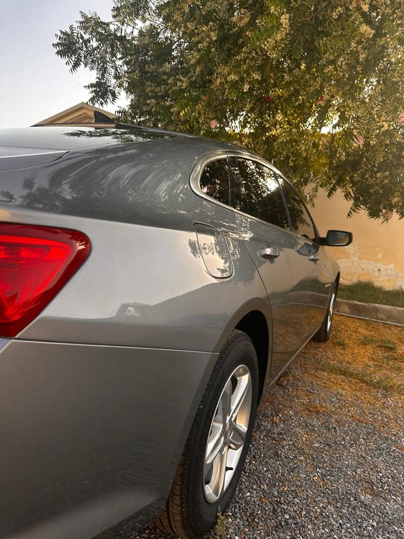 Used Chevrolet Malibu 1.5L 2023 for sale in Ras alKhaimah 742009