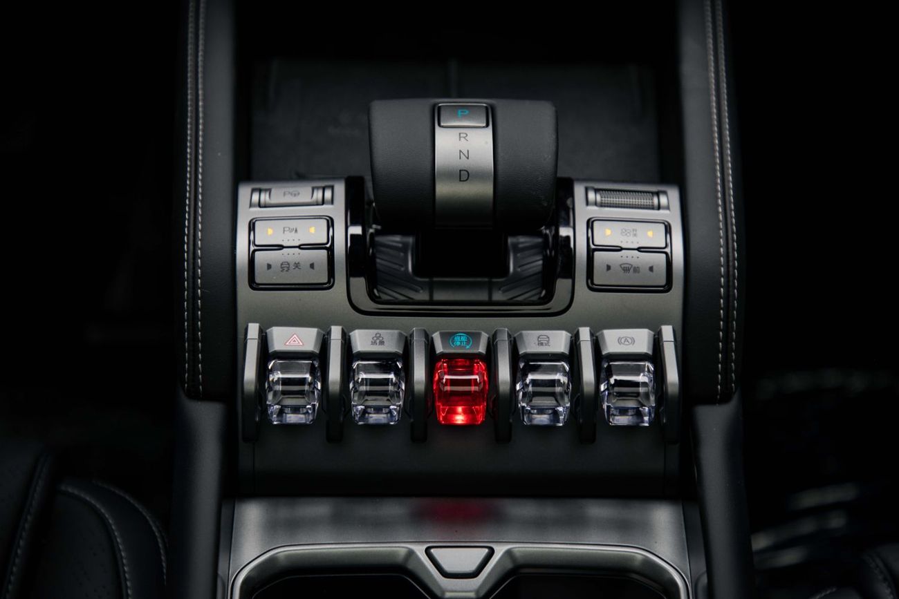 BYD Leopard Titanium 3 ID Ultra - Silver Inside Black | Export Only