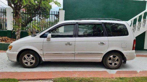 Hyundai Trajet exterior - Side Profile