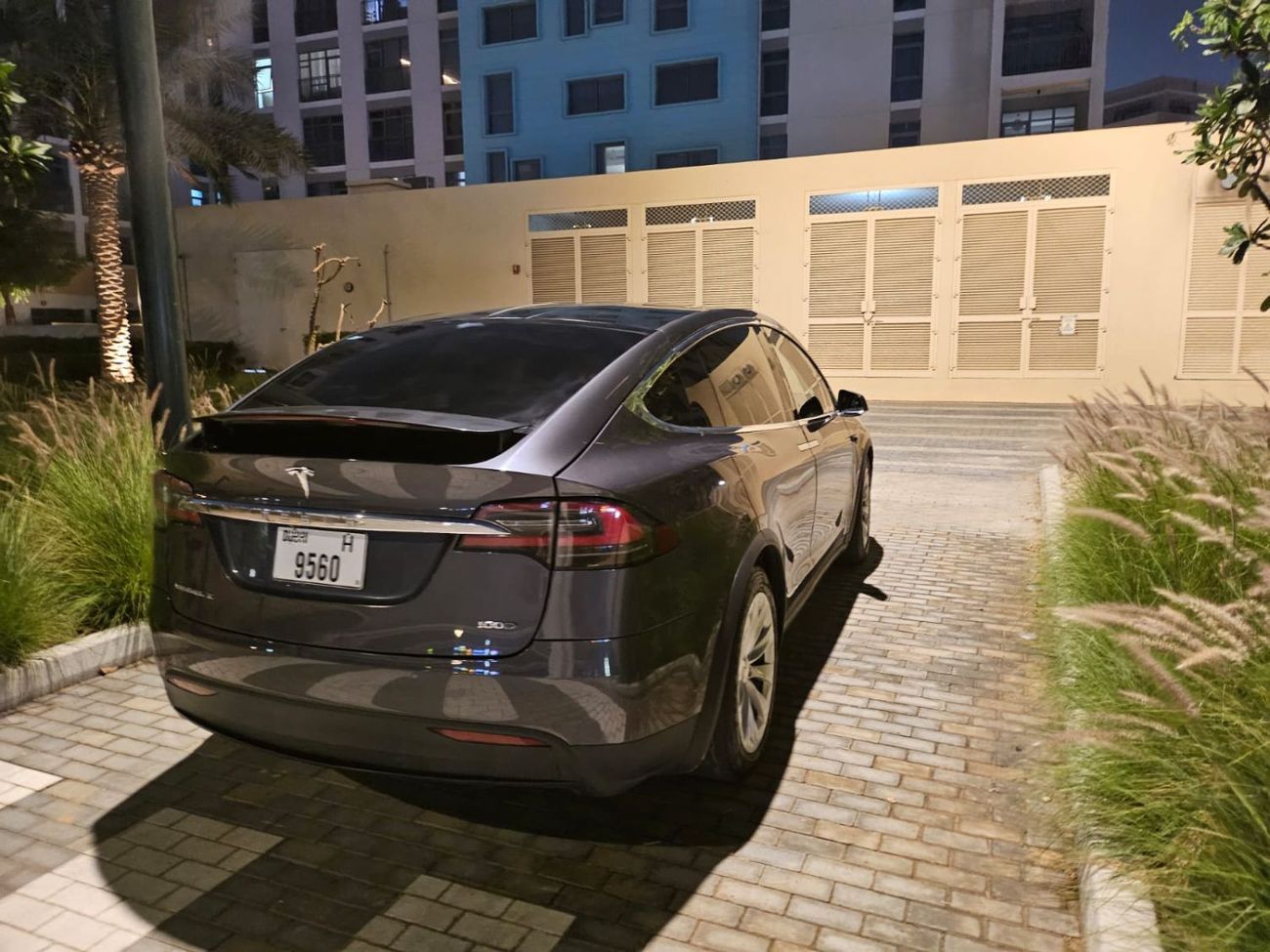 تسلا موديل اكس orignal paint