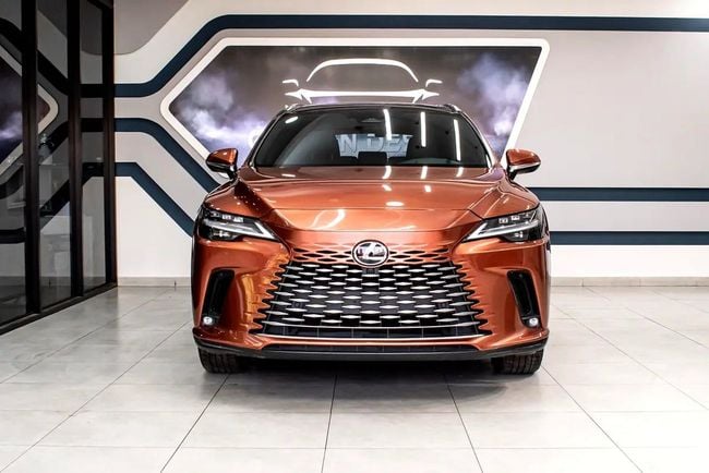 Lexus RX Platinum, миниатюра 17