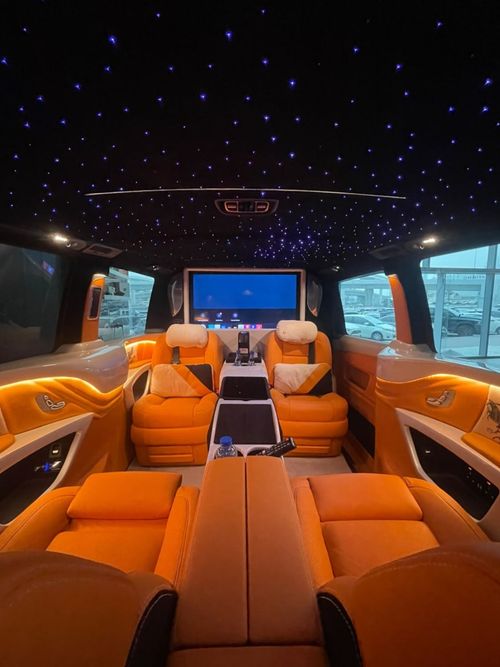 Mercedes Benz V300 4Matic V300d ERTEX LUXURY CAR DESIGN CO. - 35th YEAR HERMES