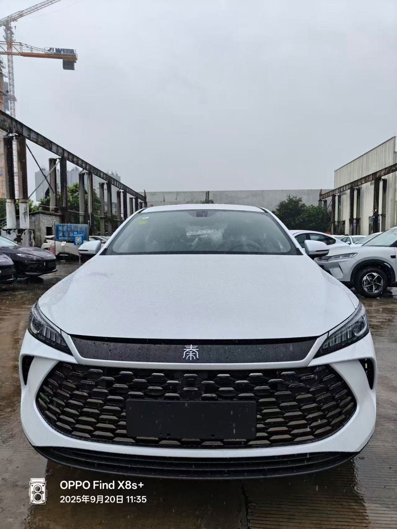 BYD QIN PLUS Byd qin plus DMI55 km
