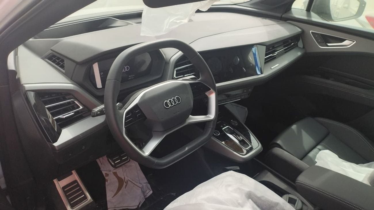 Audi Q5 2023 40 e-tron Shining Jinyi Set Parameter