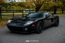 Ford GT Rare 1 of 14 Stripe Delete