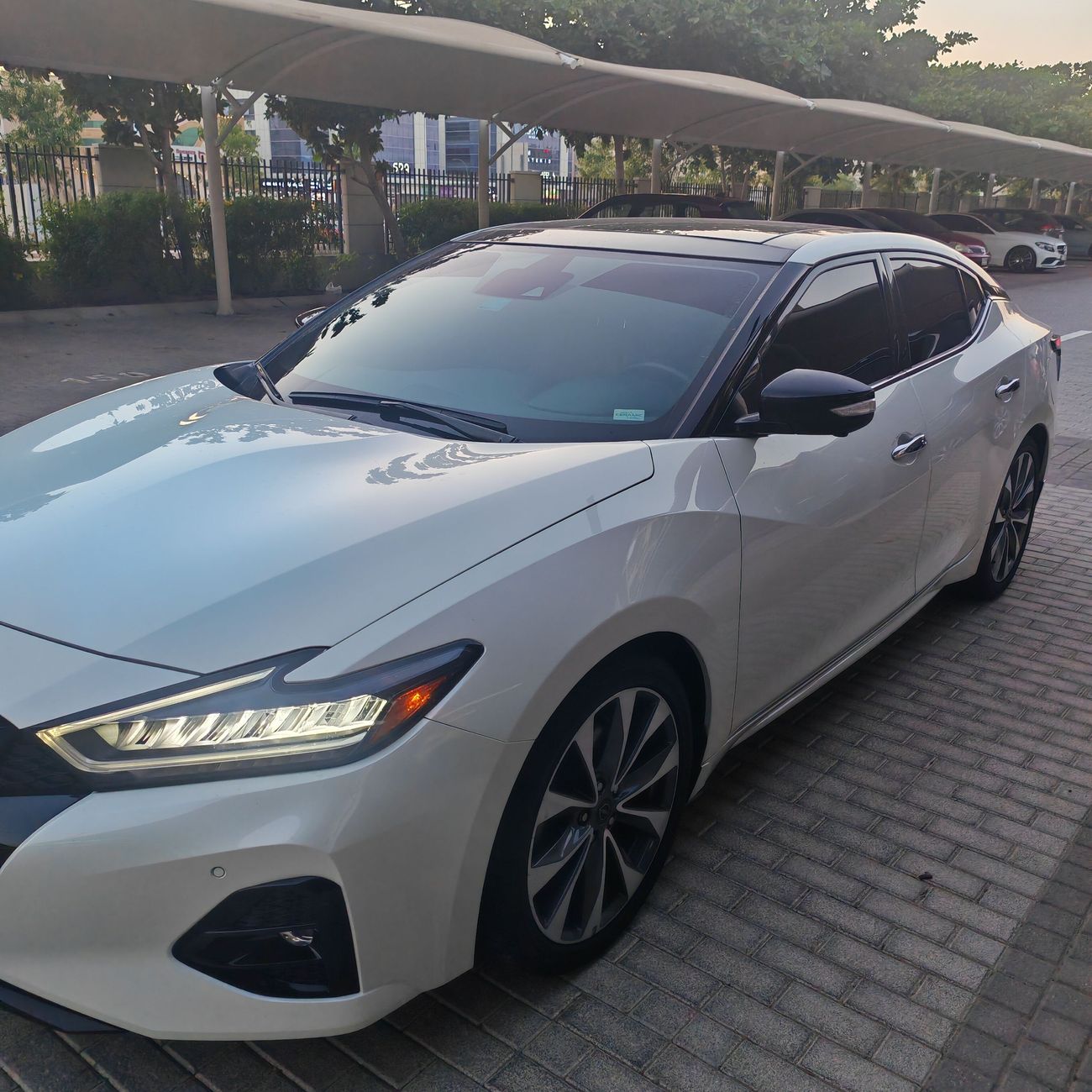 نيسان ماكسيما