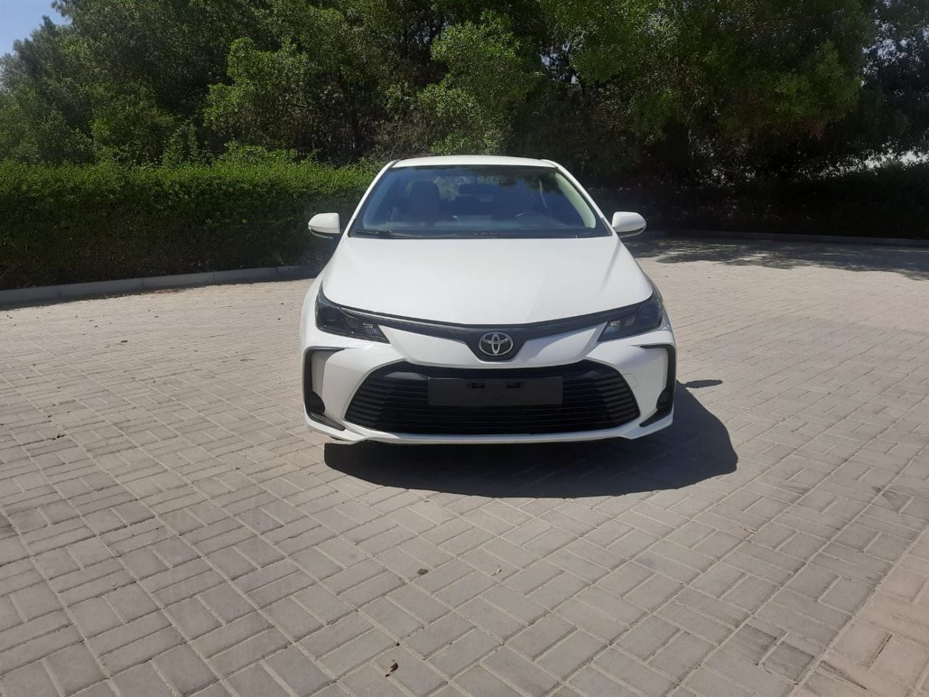 Toyota Corolla XLI