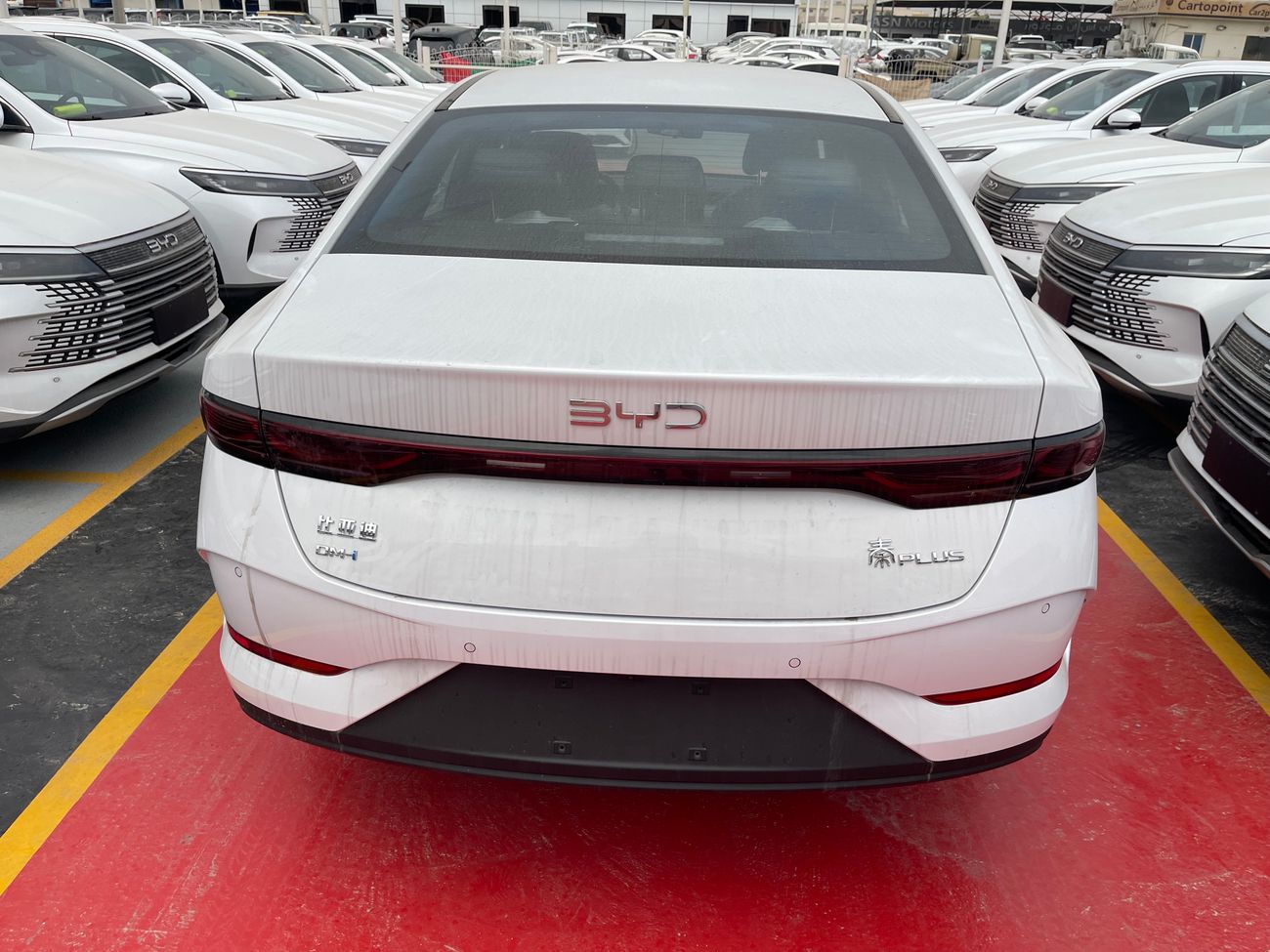 BYD QIN PLUS 1.5L DMI 55KM plug in Hybrid ( DUCAMZ )