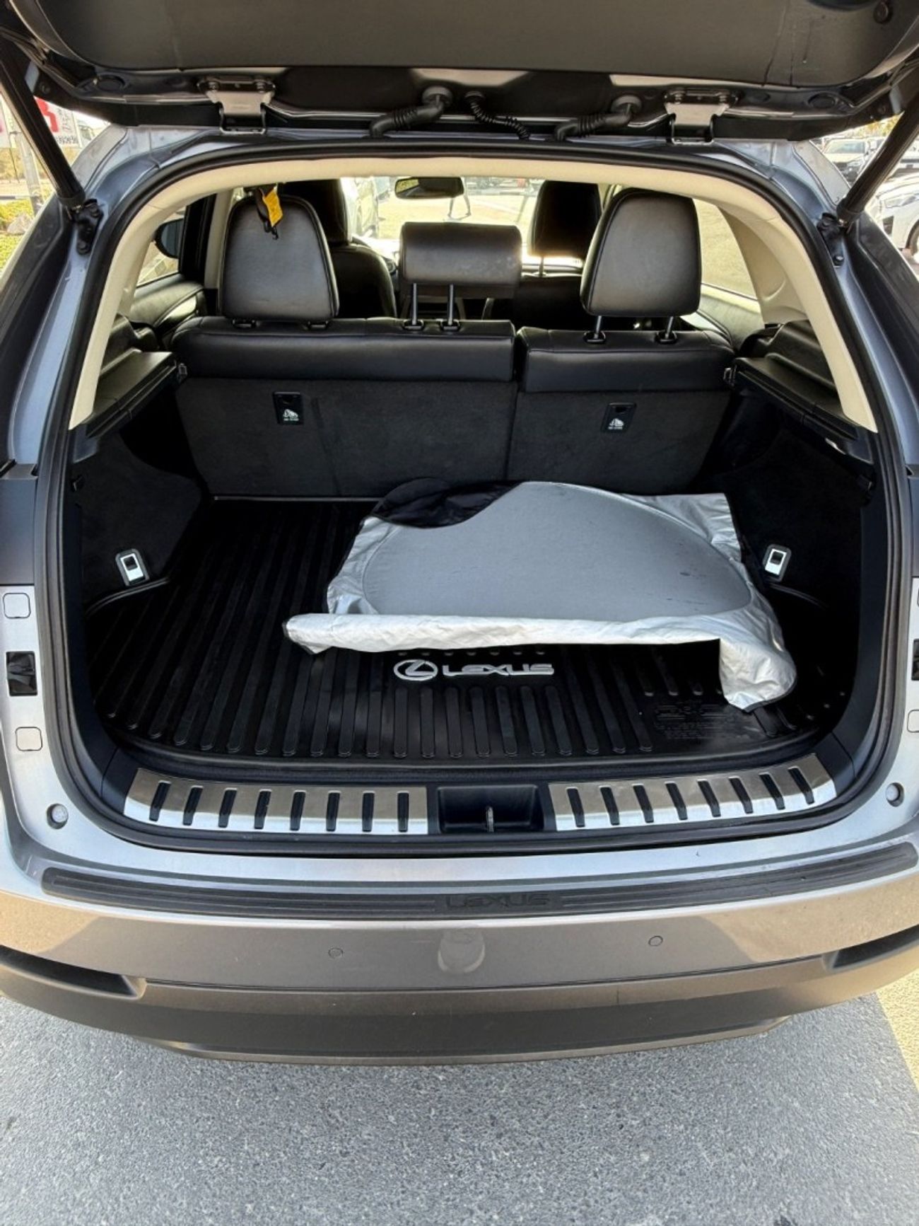 Lexus NX300 Platinum 2.0L