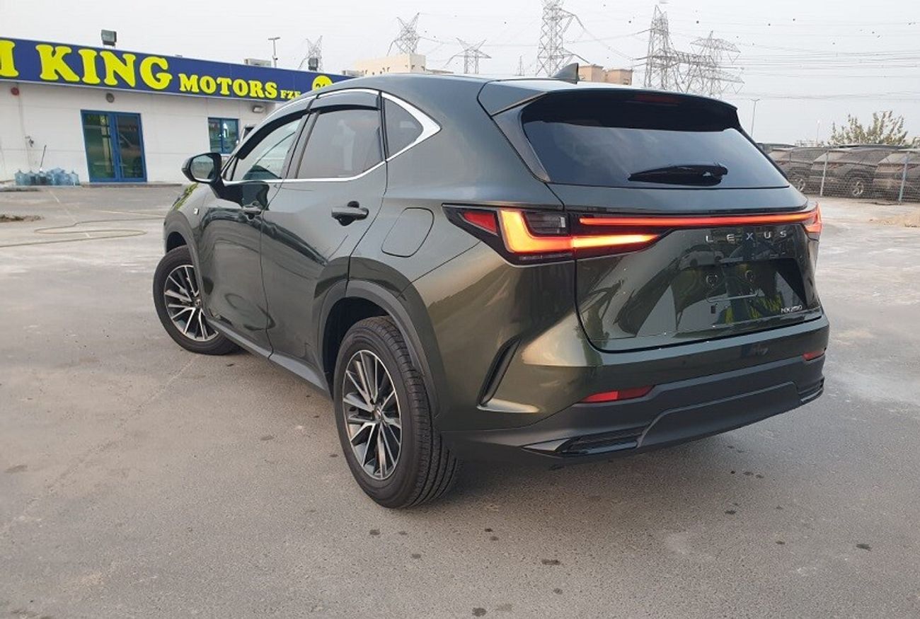 Lexus NX 250 2.5 CC PETROL (RHD)