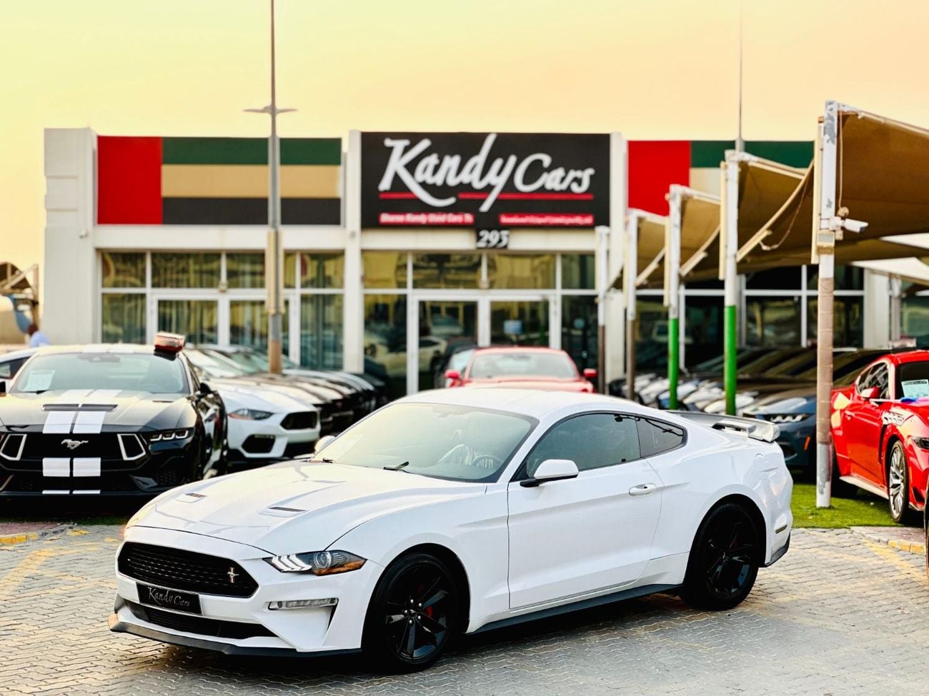 Ford Mustang STANDARD | Paddle Shifters | Fog Lights | Blindspot | # 88305