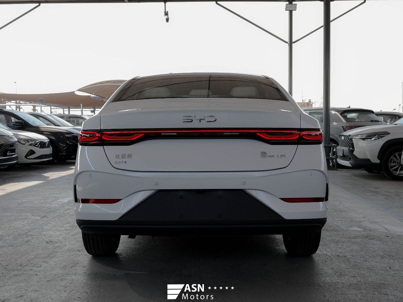 بي واي دي كين بلاس DM-I 55Km 2025 (Export Price)