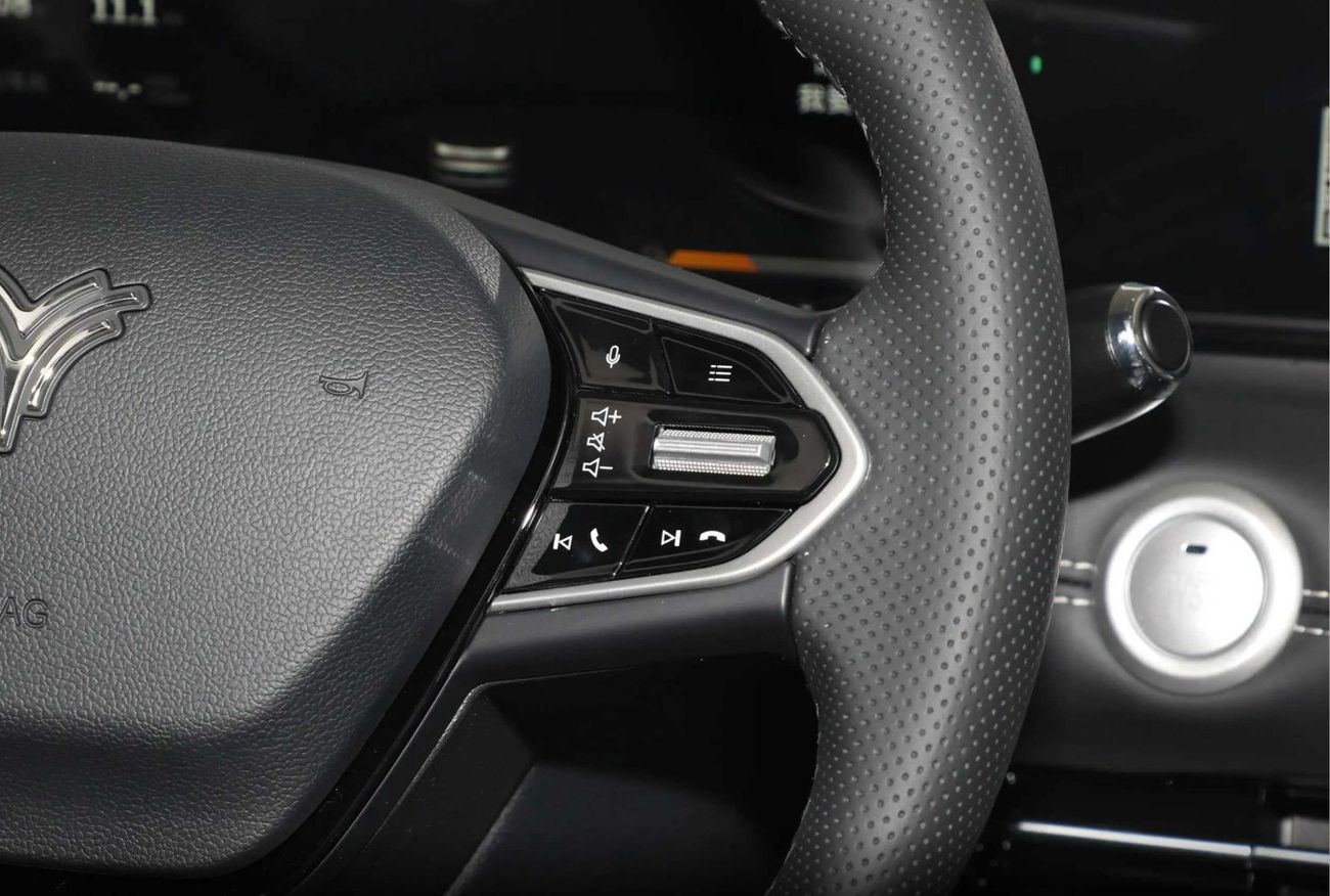 Hozon Auto Neta U Hozon- Neta U- 2023 | Top Option | 401KM Range