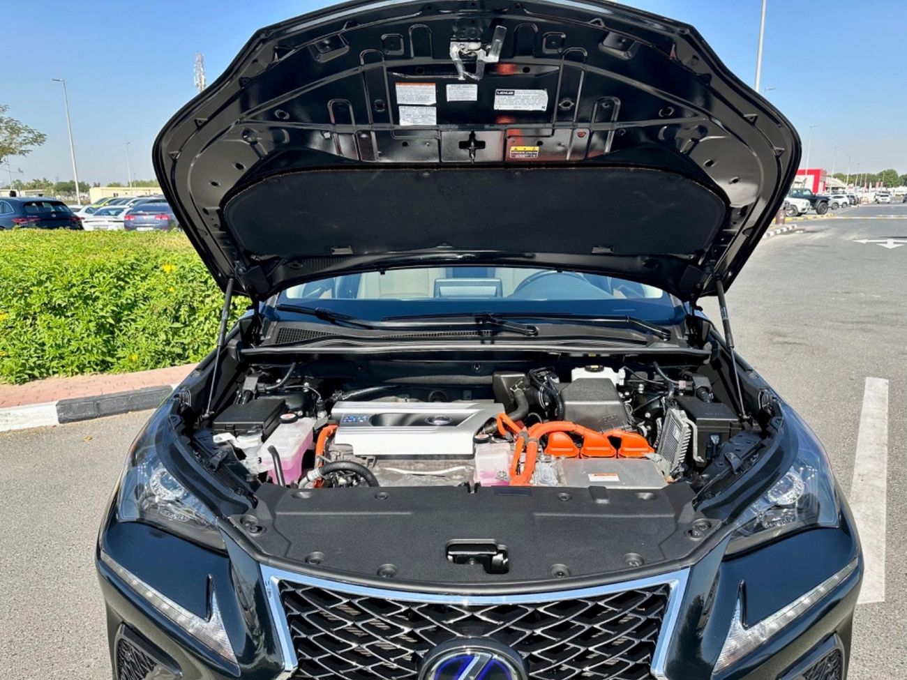 Lexus NX300 Premier 2021 Lexus NX300 hybrid