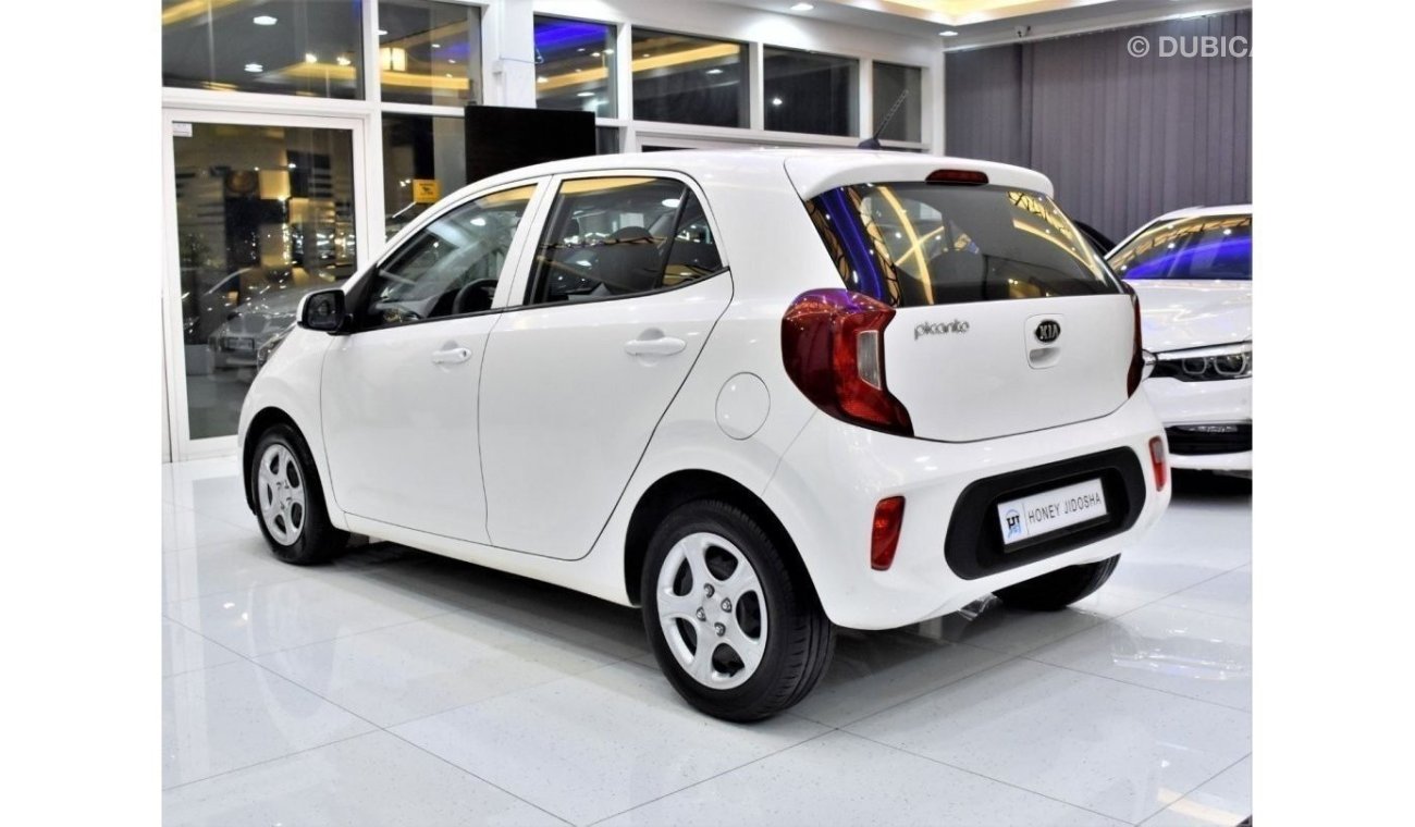 كيا بيكانتو EXCELLENT DEAL for our KIA Picanto ( 2019 Model ) in White Color GCC Specs