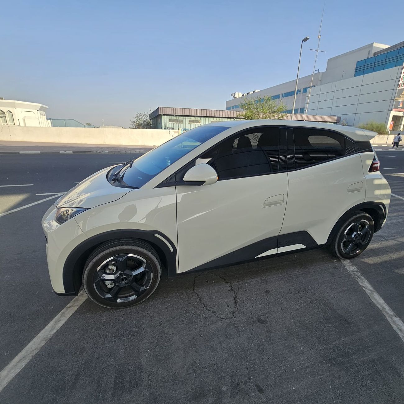 بي واي دي سيجول