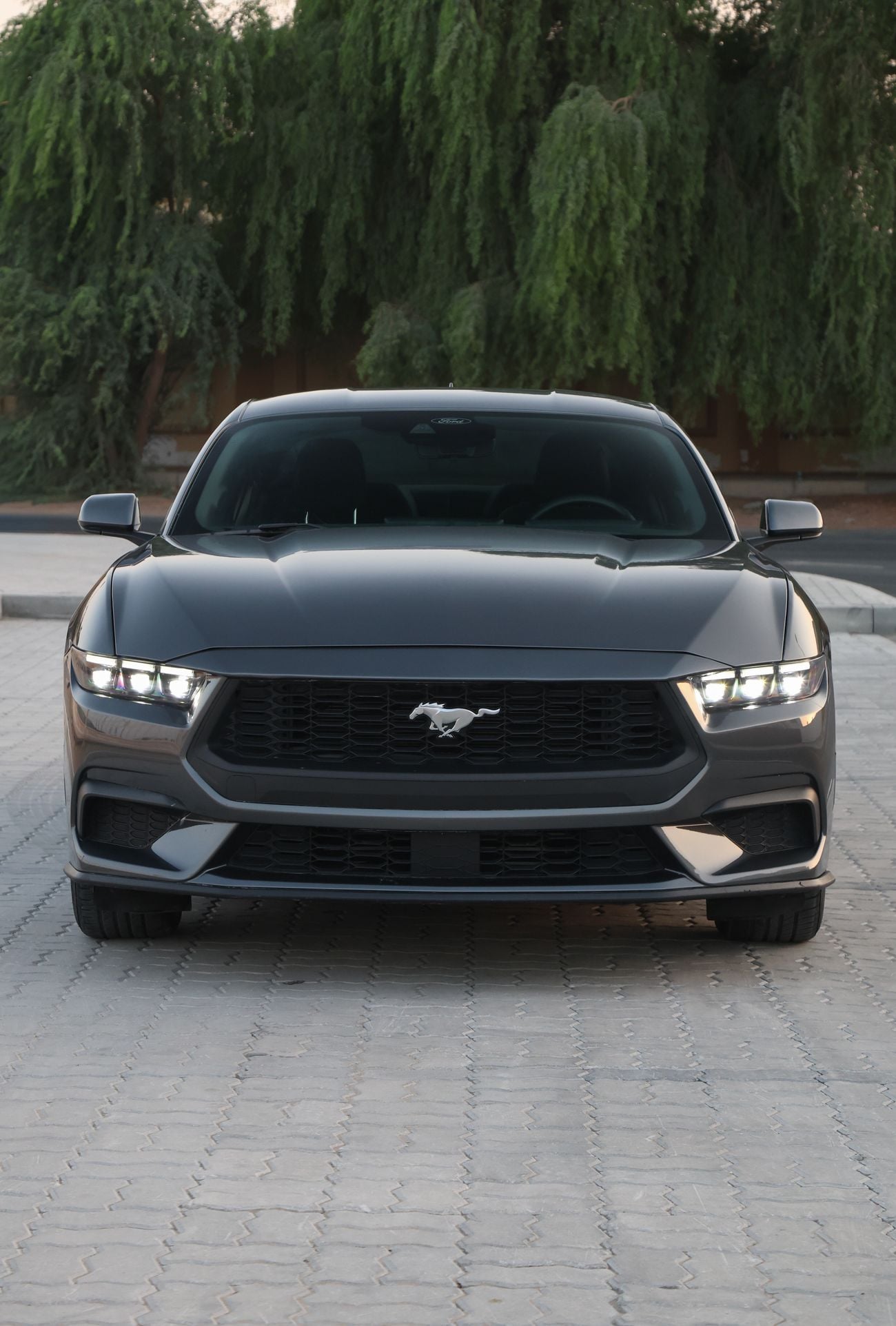 Ford Mustang STANDARD, миниатюра 5
