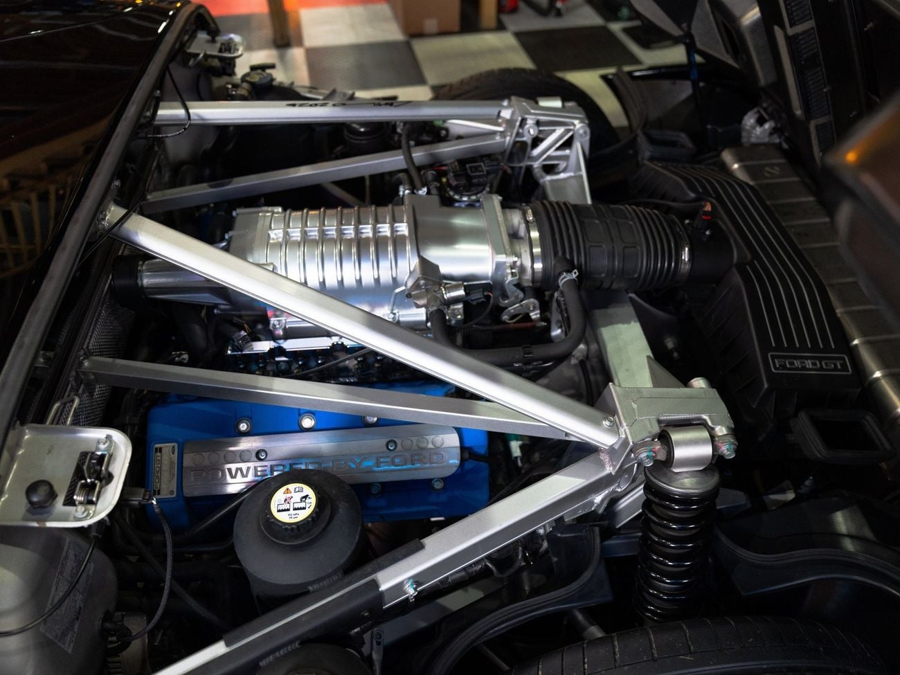 Ford GT Rare 1 of 14 Stripe Delete