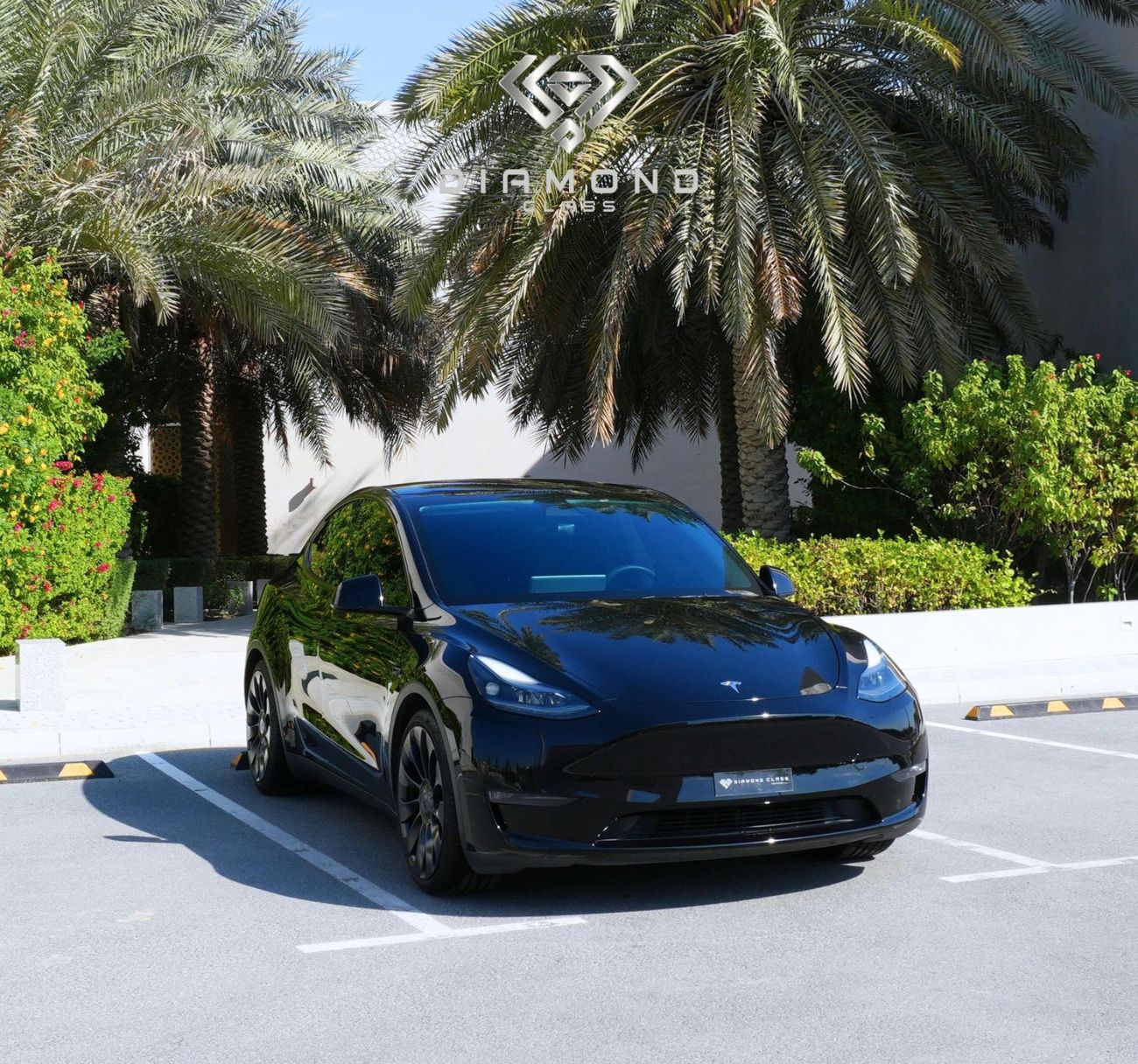 تسلا موديل Y Long Range (AWD)