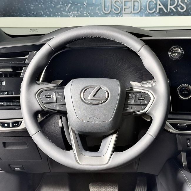 Lexus RX PLATINUM, миниатюра 28