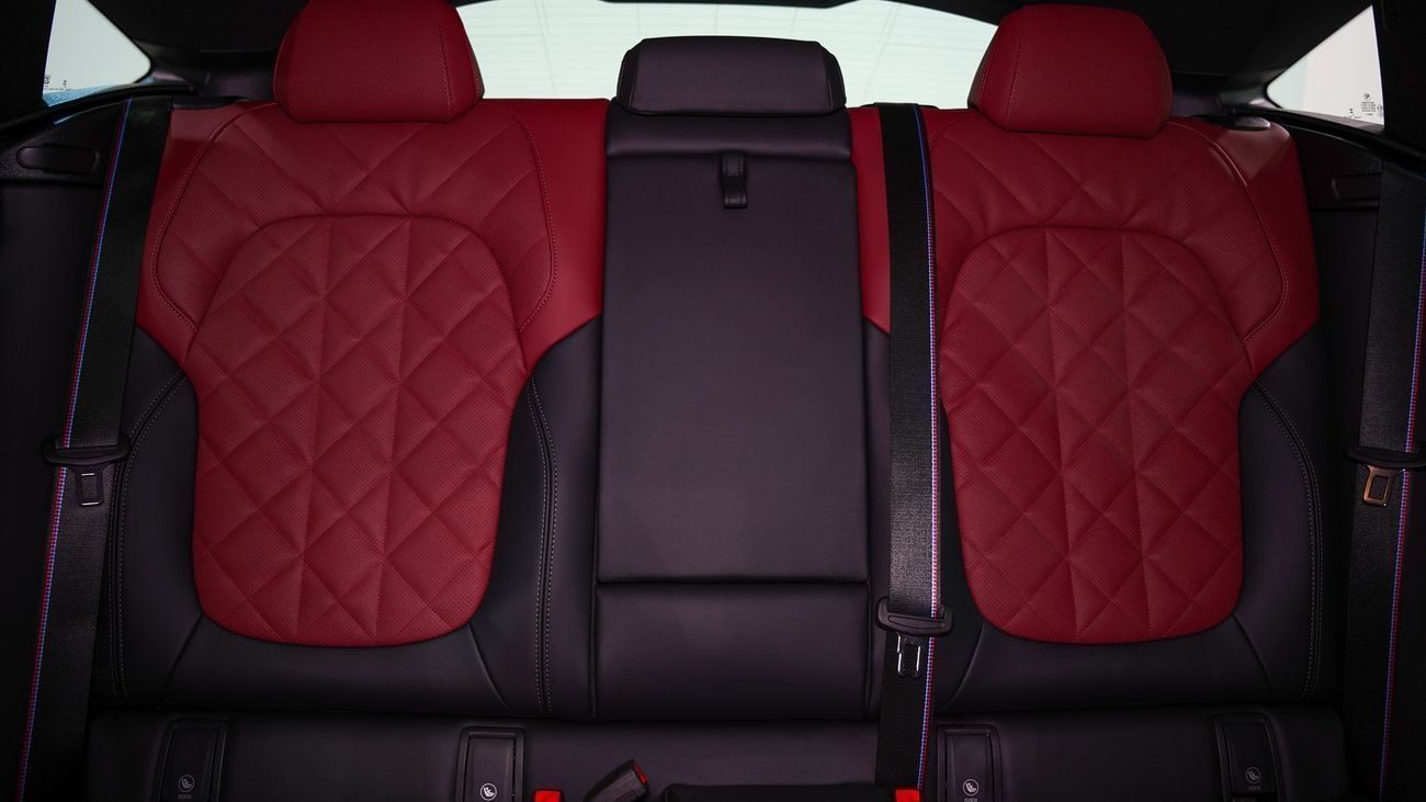 BMW X6 X6 xDrive40i Luxury M Sport Package