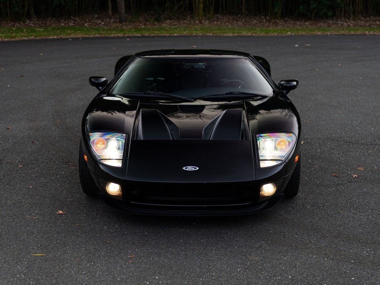 Ford GT Rare 1 of 14 Stripe Delete