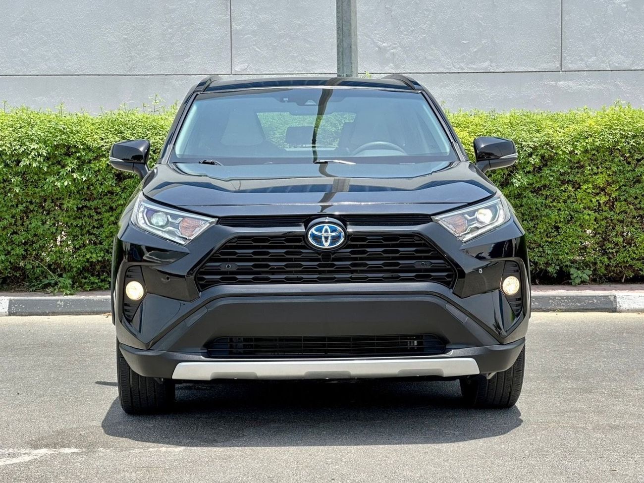 Toyota RAV4 2019 Toyota RAV4 XLE hybrid