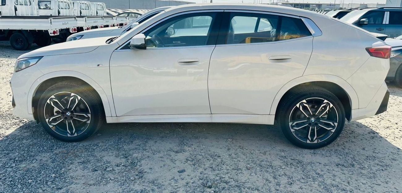 BMW X2 sDrive25i M Sport Package