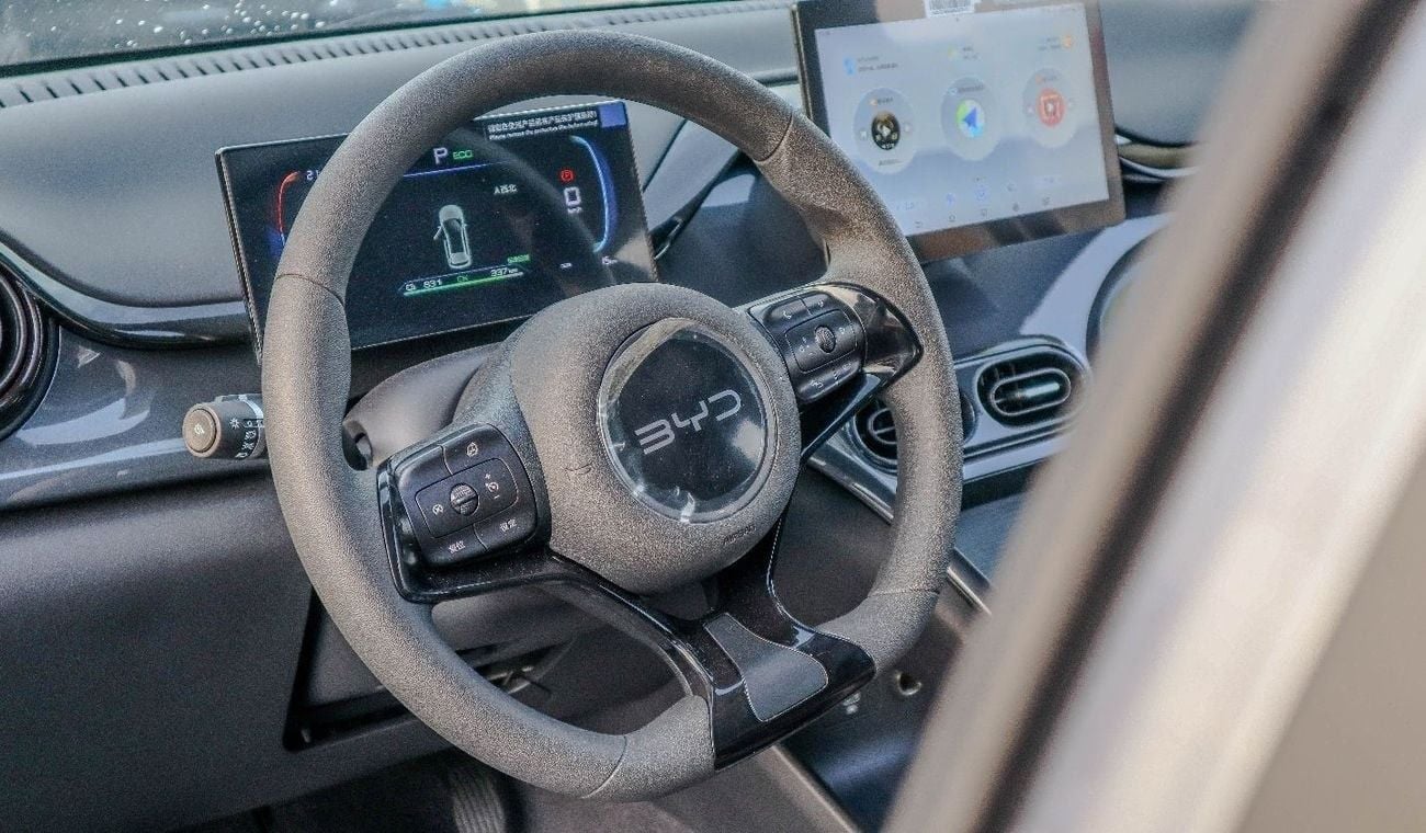 BYD e2 BYD E2 Comfort Edition 2024 Model with a range of 405 km: