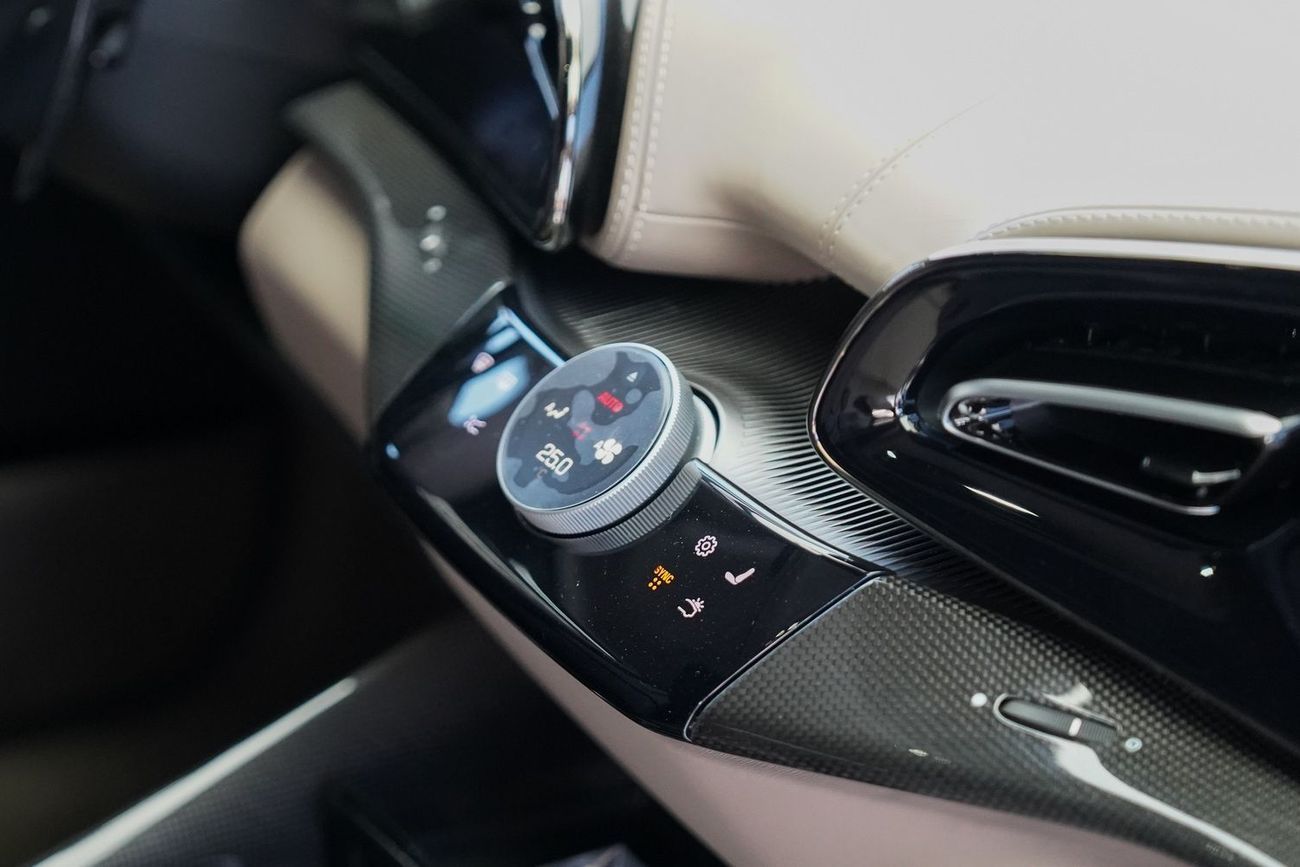 فيراري بوروسانجوي