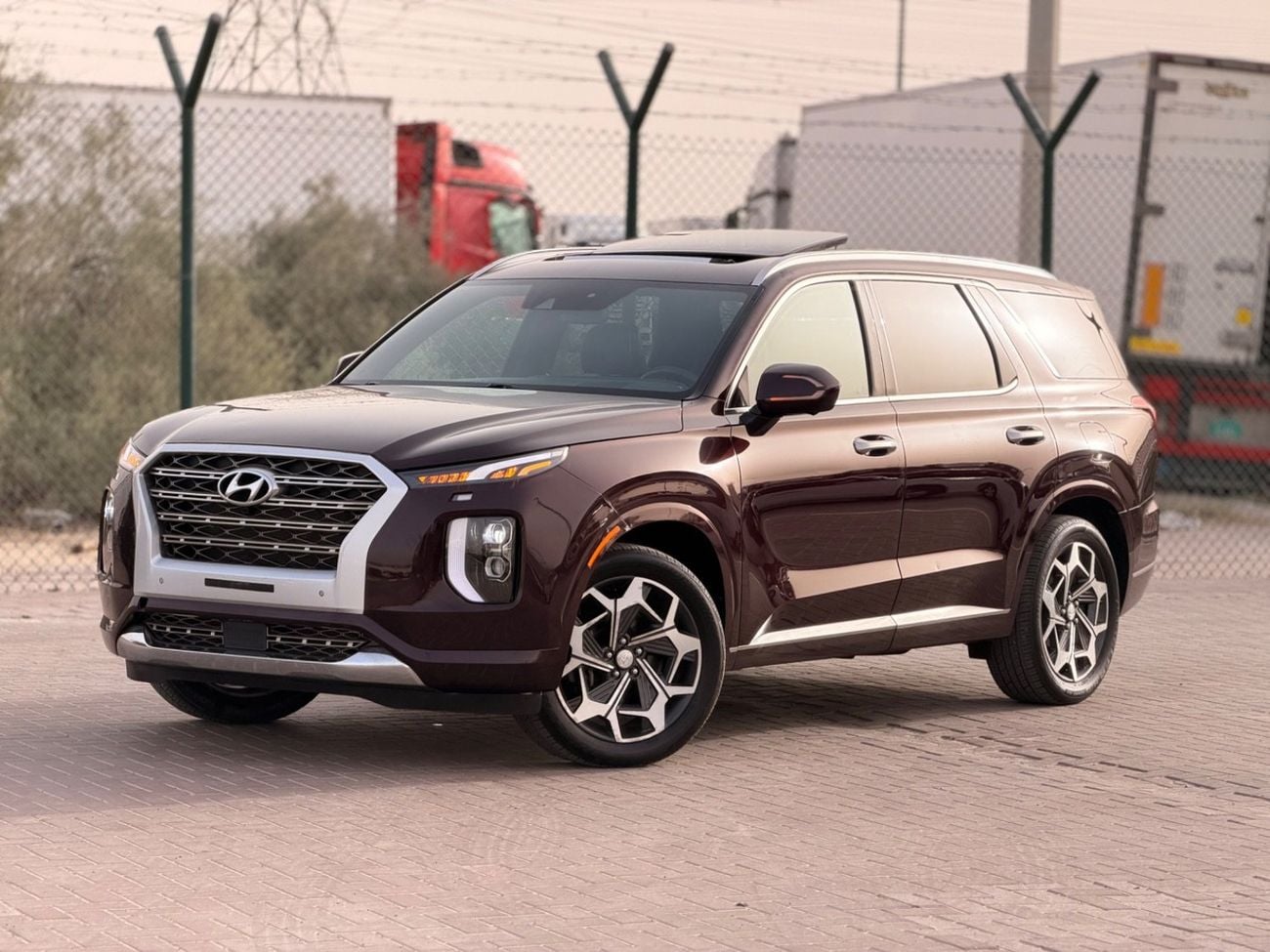 Hyundai Palisade Calligraphy/ panoramic, 360 camera/ head up display, 2022