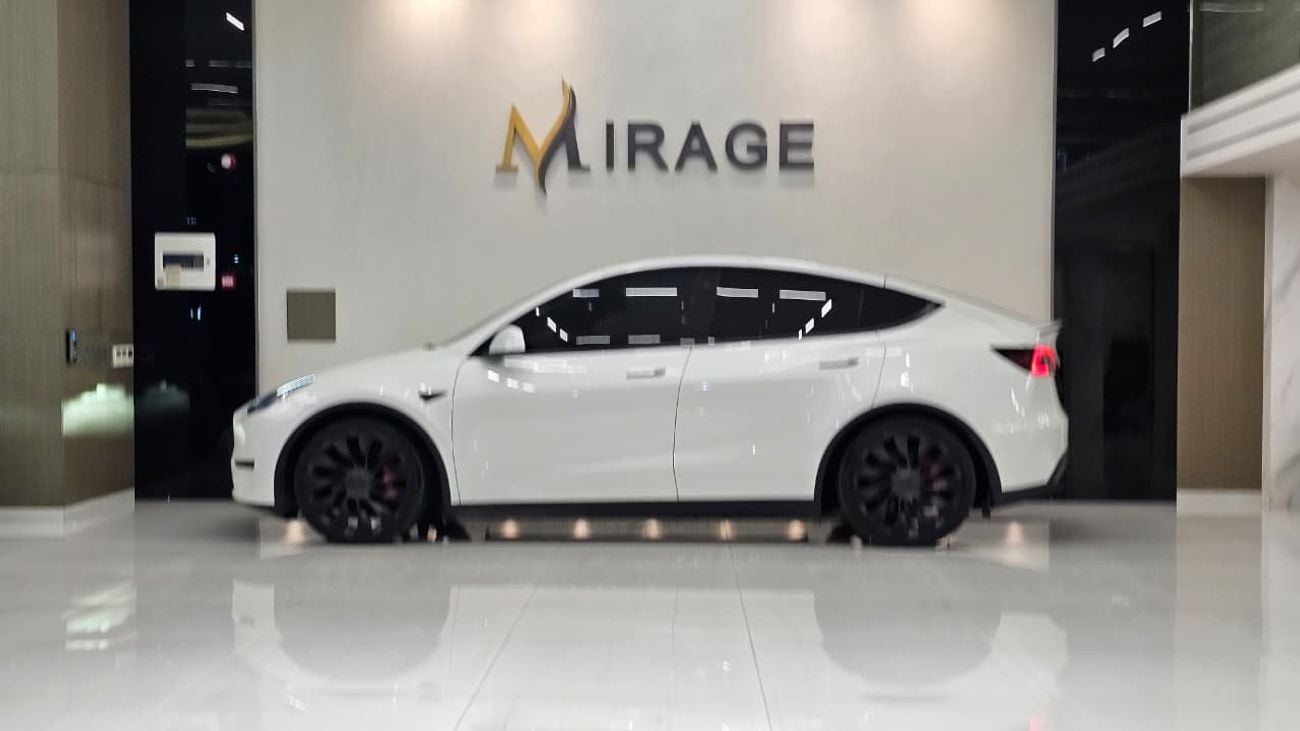 Tesla Model Y PERFORMANCE
