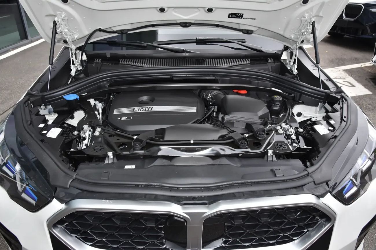 بي أم دبليو X2