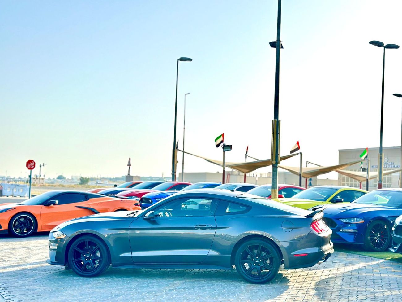 فورد موستانج STD