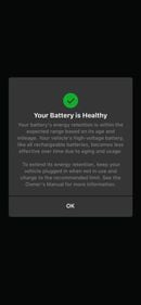 تسلا موديل Y