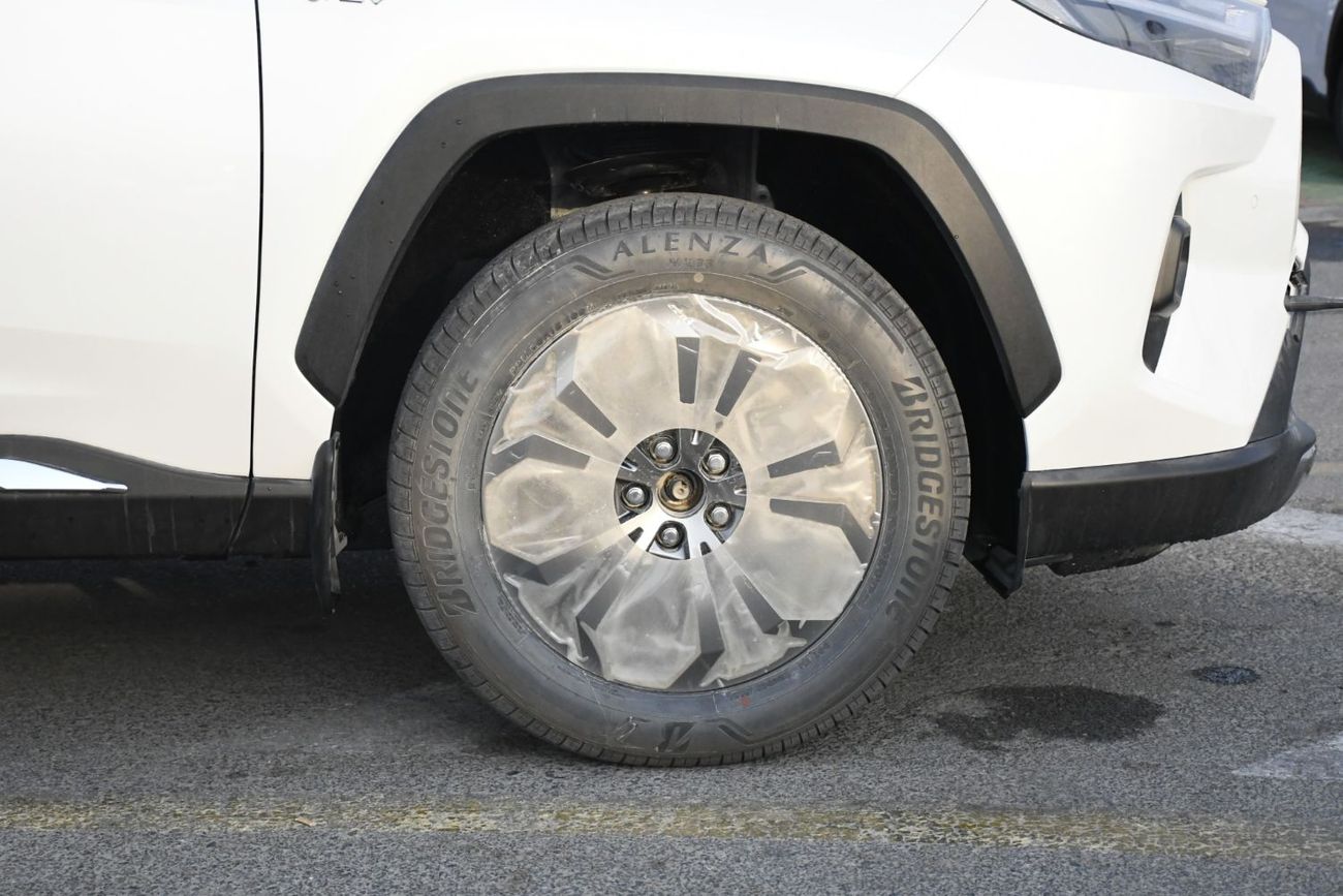 Toyota RAV4 Limited 2.5L hybrid with BSM & Door Molding