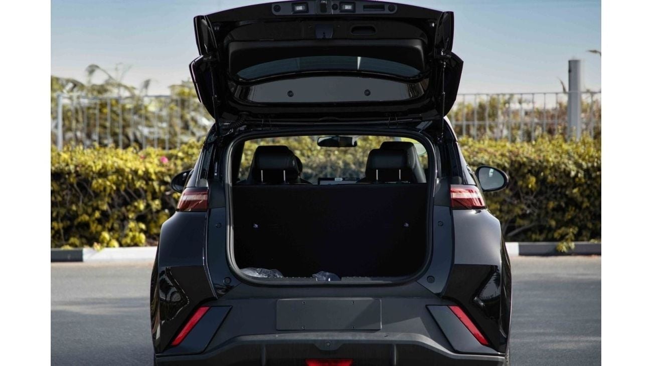 BYD Seagull 2024 BYD Seagull - Black inside Blue | Export Only