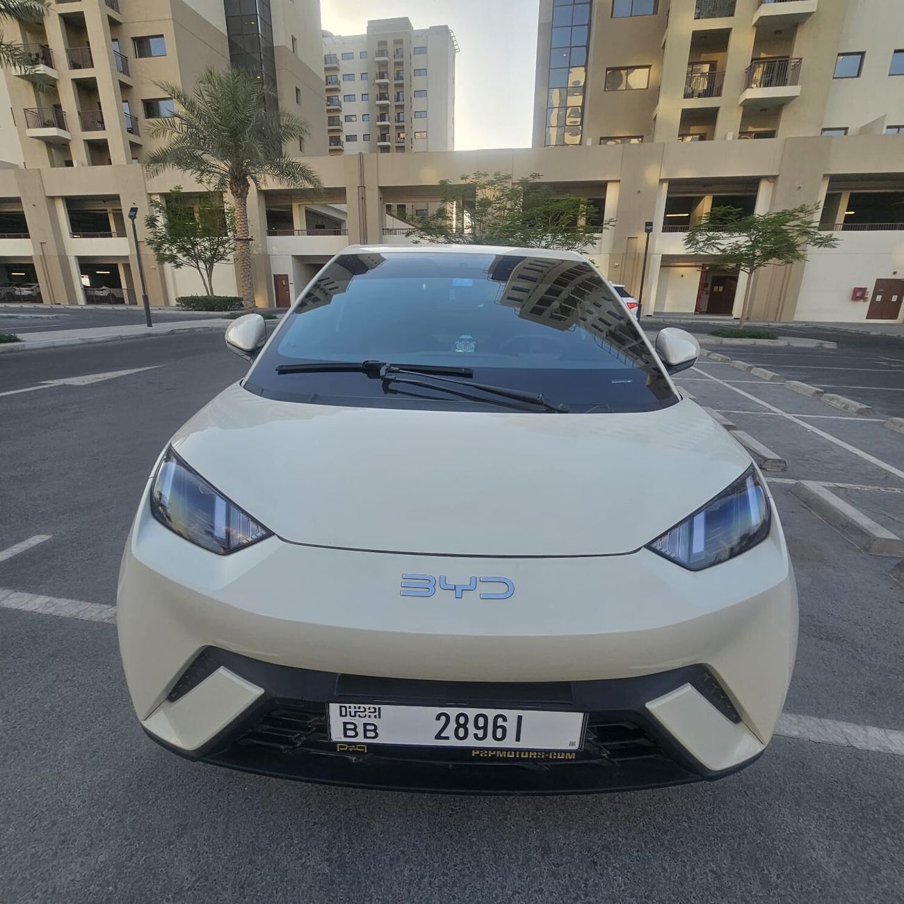 بي واي دي سيجول