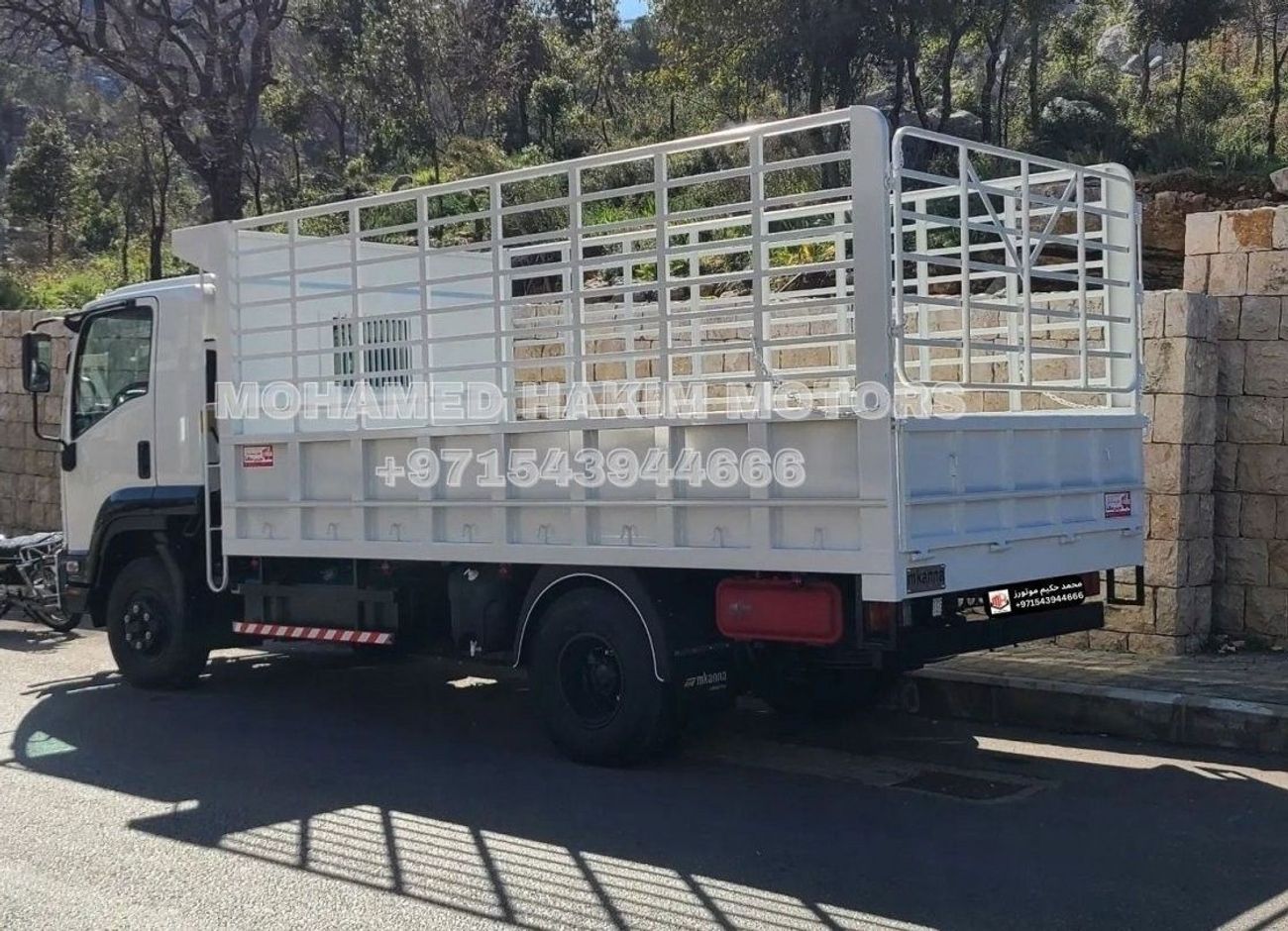 Isuzu FSR ISUZU FSR 9 Tons 7,790 cc 6Cyl Diesel Manual Zero KM