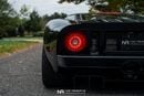 Ford GT Rare 1 of 14 Stripe Delete