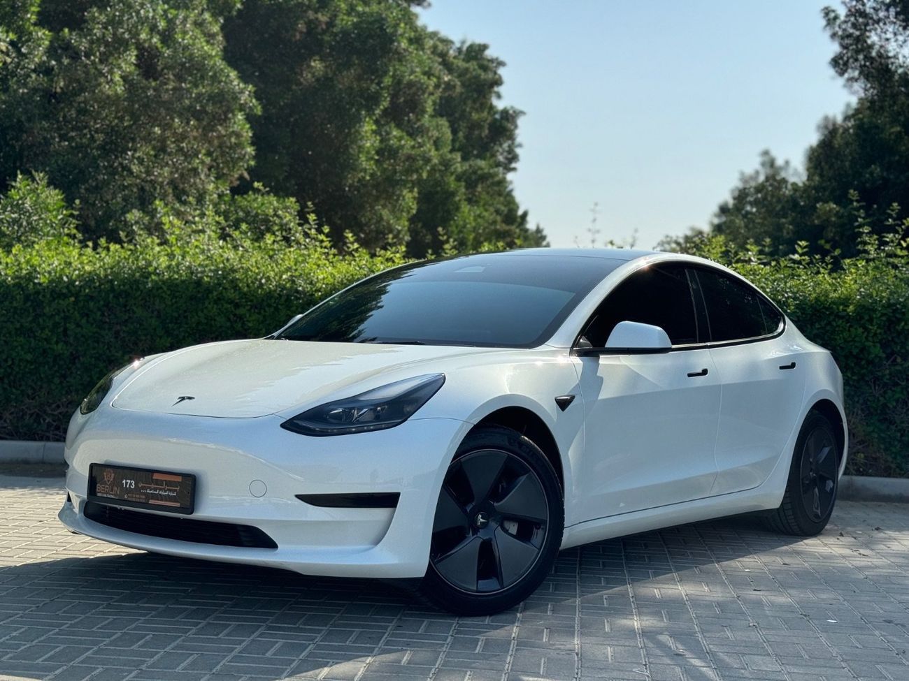 Tesla Model 3 Rear-Wheel Drive