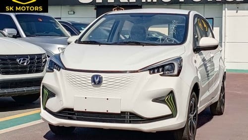 تشنجان بيم إستار Single Charger, Electric Car Full 2023 (CODE # 67927)