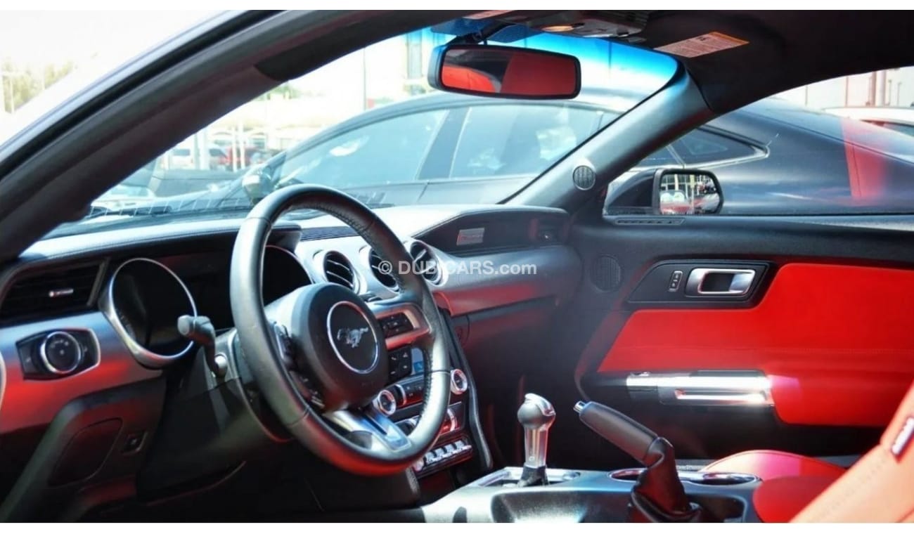 Ford Mustang EcoBoost EcoBoost Mustang V4 2.3L 2019/Leather Interior/Shelby Kit/Excellent Condition