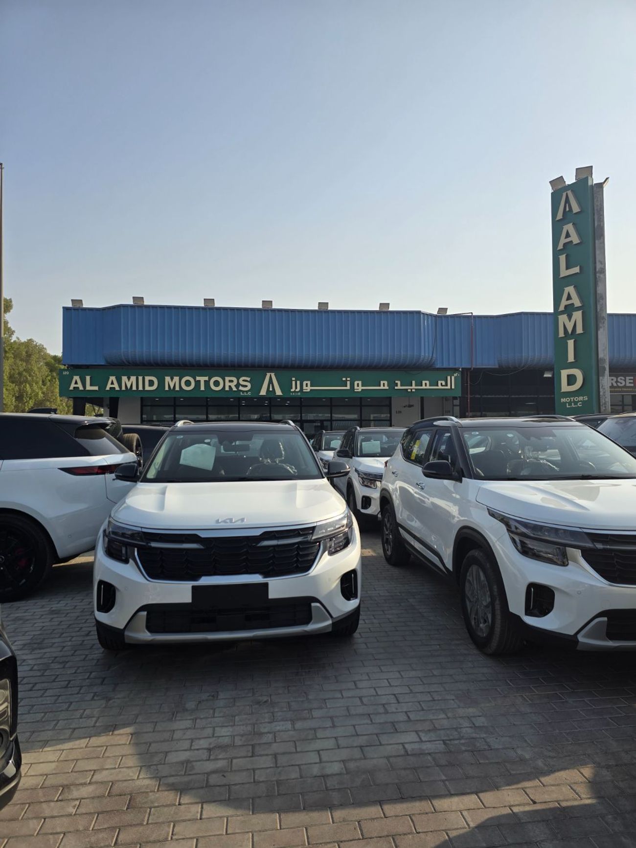 Kia Seltos available white dual tone and grey dual tone