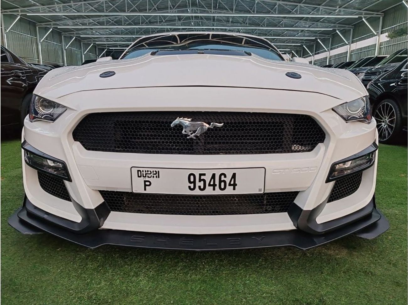 Ford Mustang EcoBoost Warranty 1year bank financie available 0 dawon payment