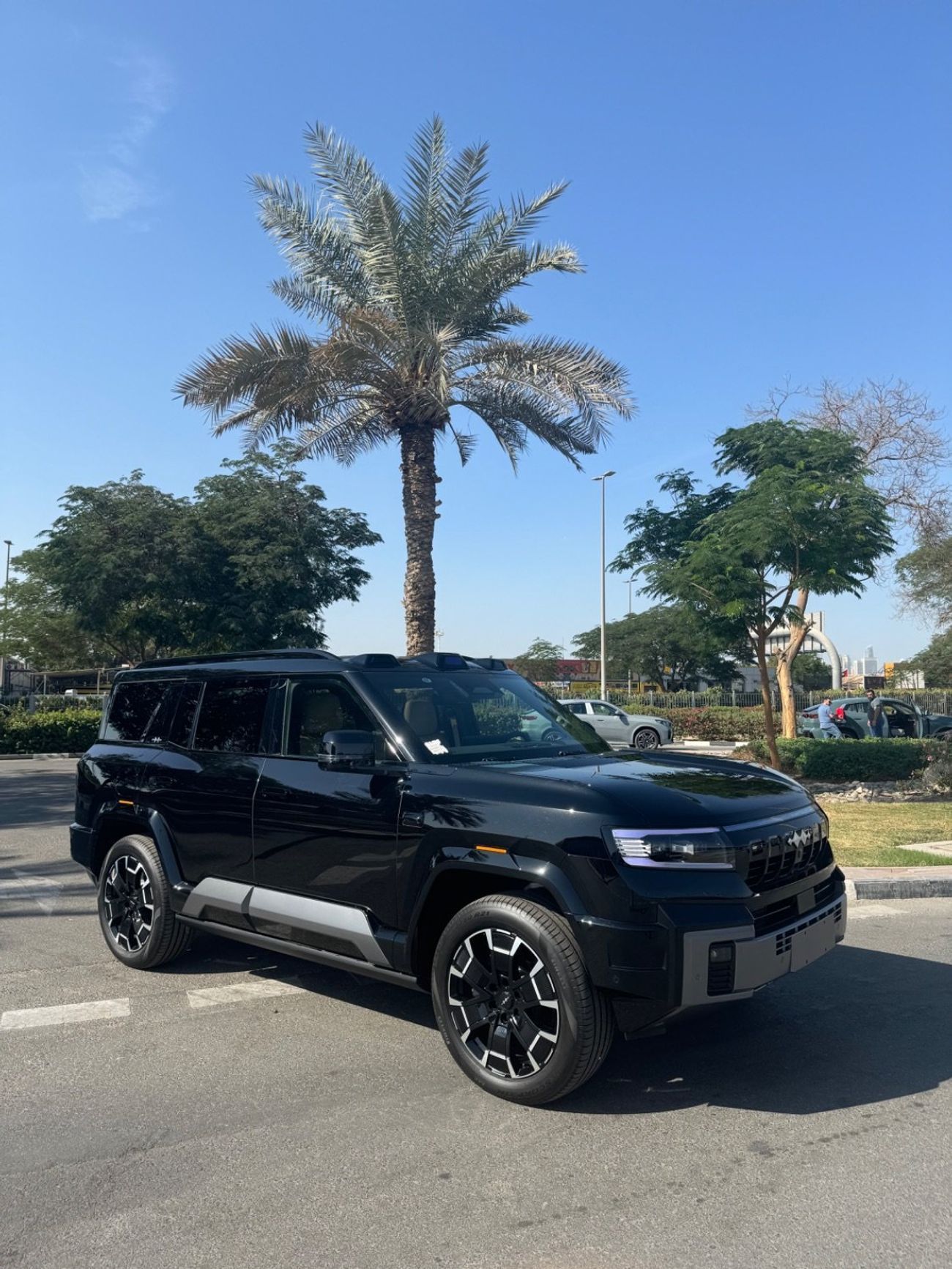 بي واي دي ليوبارد 8 Smart and Brave Flagship Edition (6 Seats)